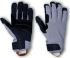 Direct Route II Gloves