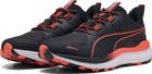 Reflect Lite Trail