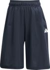 Stadiumm Mesh Shorts