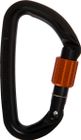 Session Screw Gate
