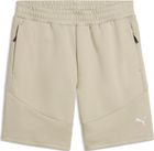 Evostripe Shorts DK
