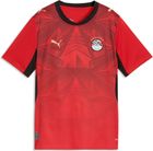 EFA Home Jersey Replica Jr
