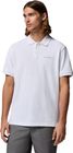 Carter Ridge Pique Polo