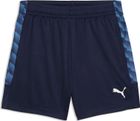 teamLIGA26 Training Shorts Jr