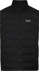 Wild Pass Down Vest M RDS