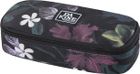 School Case