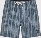 O'neill Cali Print 15'' Swimshorts