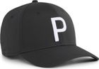 Heritage P Tech Cap