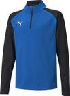 Teamliga 1/4 Zip Top Jr