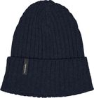 Delmar Beanie