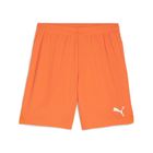 Teamgoal Shorts
