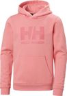 JR HH Logo Hoodie