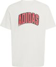 Stadium Collegiate Graphic T-shirt
