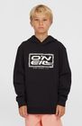 O'neill Logo Hoodie