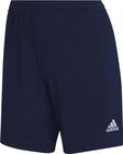 ENTRADA22 Training Shorts