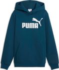 Essentials No 1 Logo Hoodie FL B