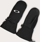 Ridge Gore-tex Gauntlet Mittens