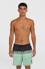 O'neill Cali Stripe 16'' Swimshorts