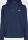 O'neill Small Logo Hoodie