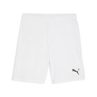 Teamgoal Shorts