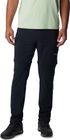 Triple Canyon Convertible Pant II