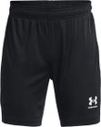 Y Ch. Core Short