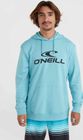 O'neill Logo Hoodie