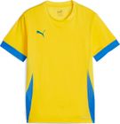 Teamgoal Matchday Jersey jr