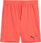 Teamgoal Shorts