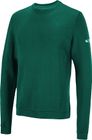 Pullover Green