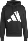 Essentials BIG Logo Fleece Hoodie