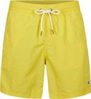 Vert 16'' Swim Shorts