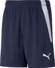 Teamliga Shorts Jr