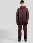 The X-alp 3L Hardshell Snow Pants