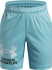 Tech Logo Shorts
