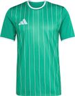 Entrada26 Graphic Jersey