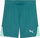 teamLIGA26 Shorts Jr
