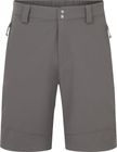 Torque Mountain Shorts