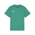 Teamgoal Jersey Jr