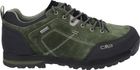 Alcor 2.0 Low Trekking Shoes WP