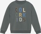Sweat W. JR. Logo Print 742073