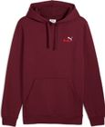 Essentials 2 Color Small No. 1 Logo Hoodie FL