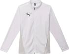 Teamgoal Training 14 Zip Top Wmn