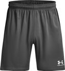 M's Ch. Knit Short