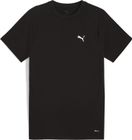 Evostripe Tee