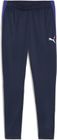 Individualliga Training Pants
