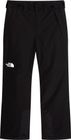 Mens Descendit Pant