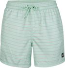 Cali First 15'' Swim Shorts