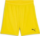 Teamgoal Sleeve Sock