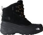 Y Chilkat V Lace WP
